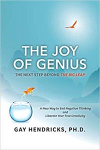 The Joy of Genius: The Next Step Beyond The Big Leap Gay Hendricks